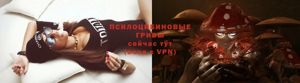 apvp Алексин