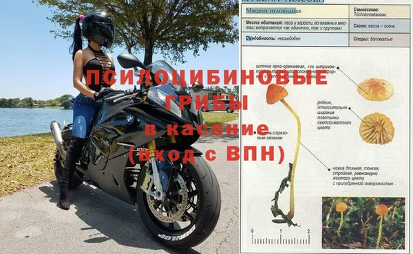 бутират Алзамай