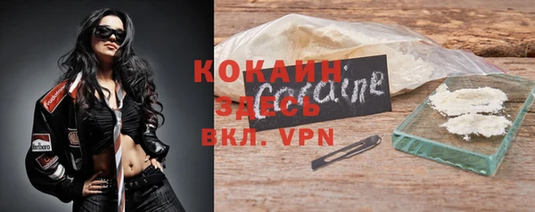 apvp Алексин